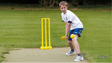 Cricket