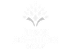 Junior adventures
